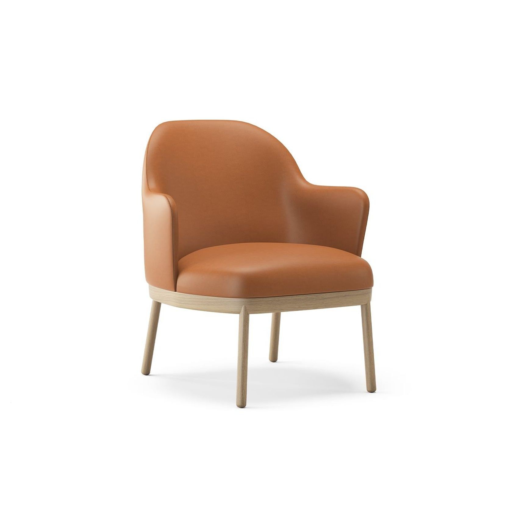 Aleta Lounge Chair - Wooden Base with Arms gallery detail image