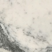 Arabescato Cervaiole gallery detail image