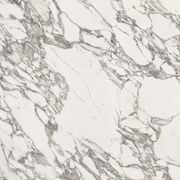 Arabescato Corchia | Quantum Porcelain gallery detail image