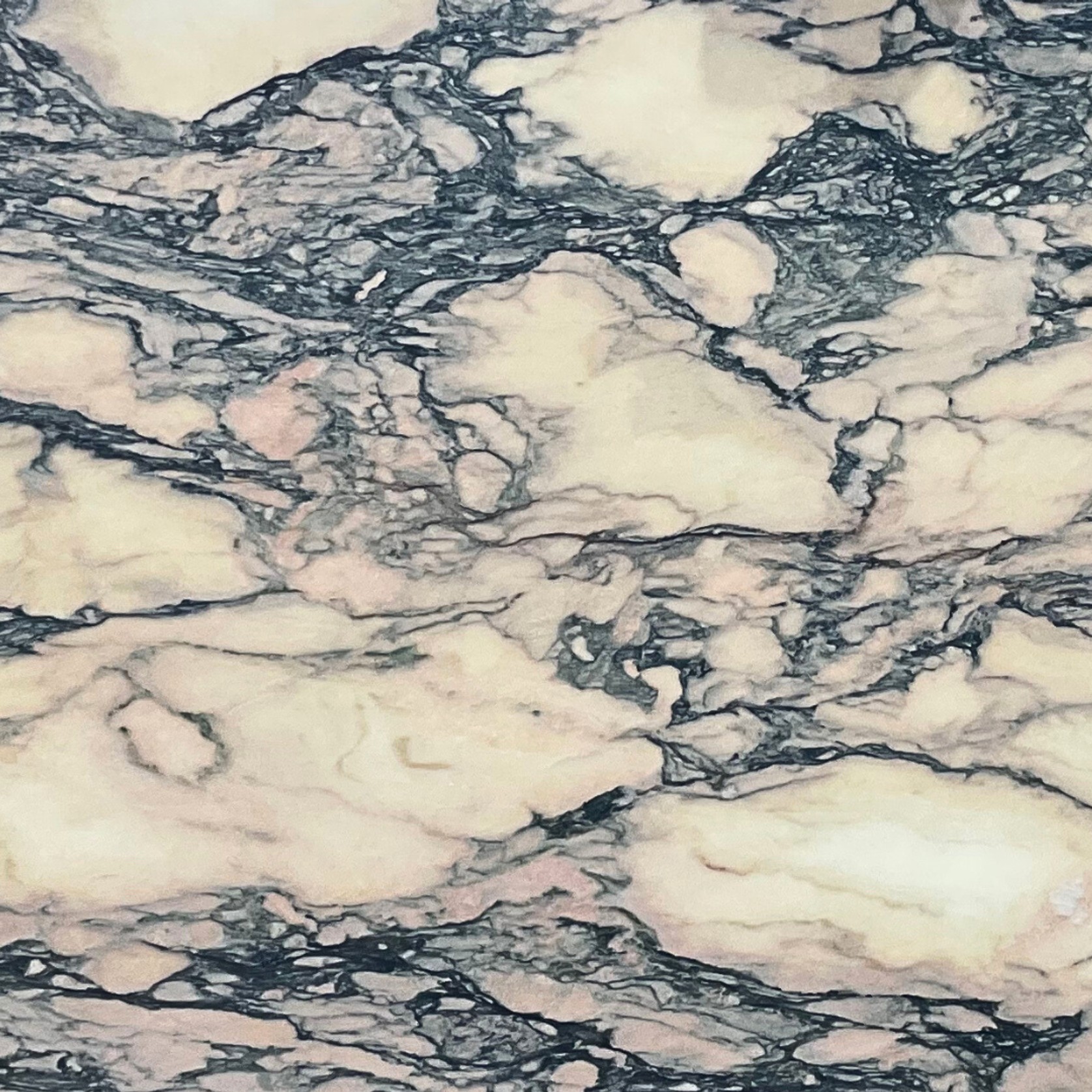 Arabescato Rosé | Marble | Honed gallery detail image