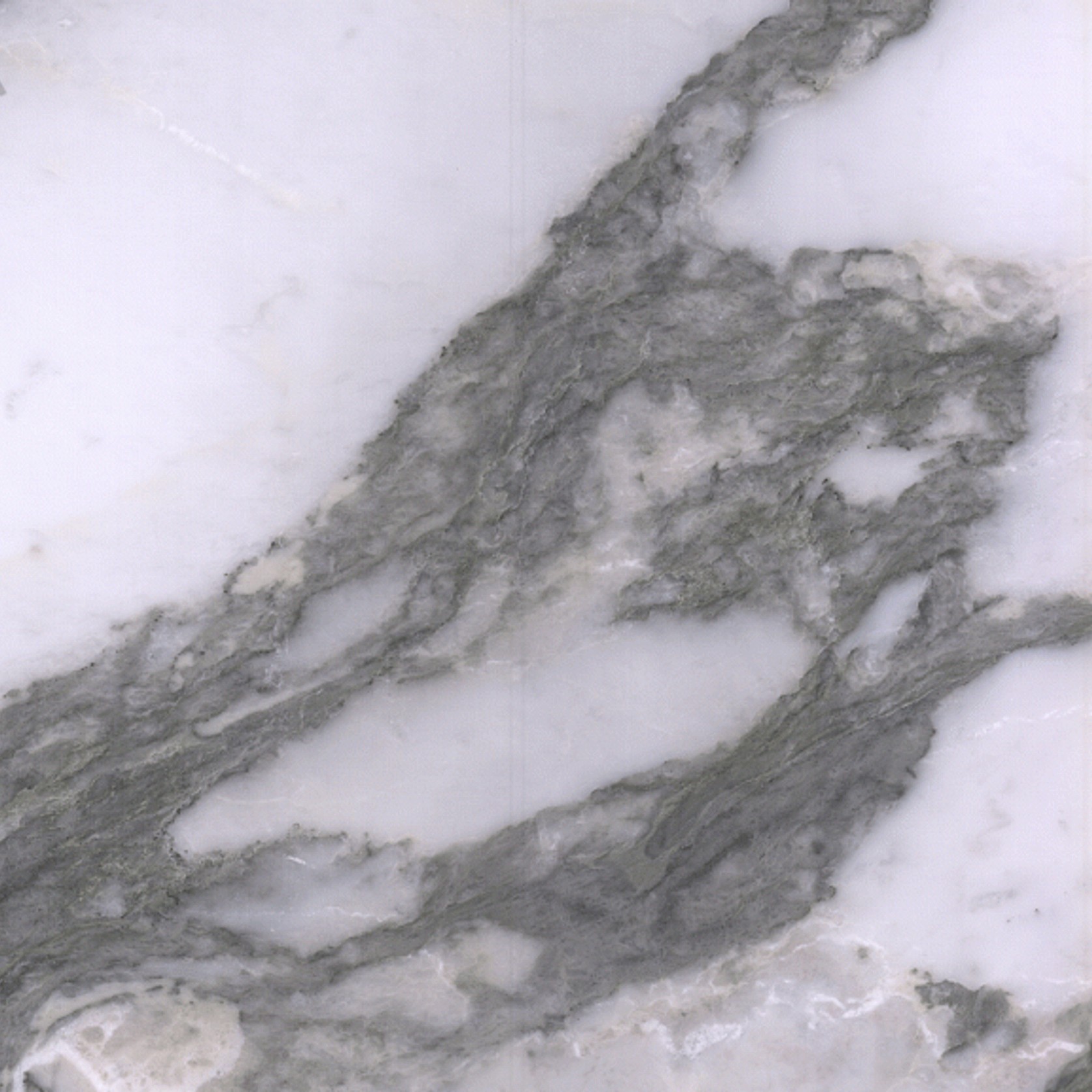 Arabescato Vagli gallery detail image
