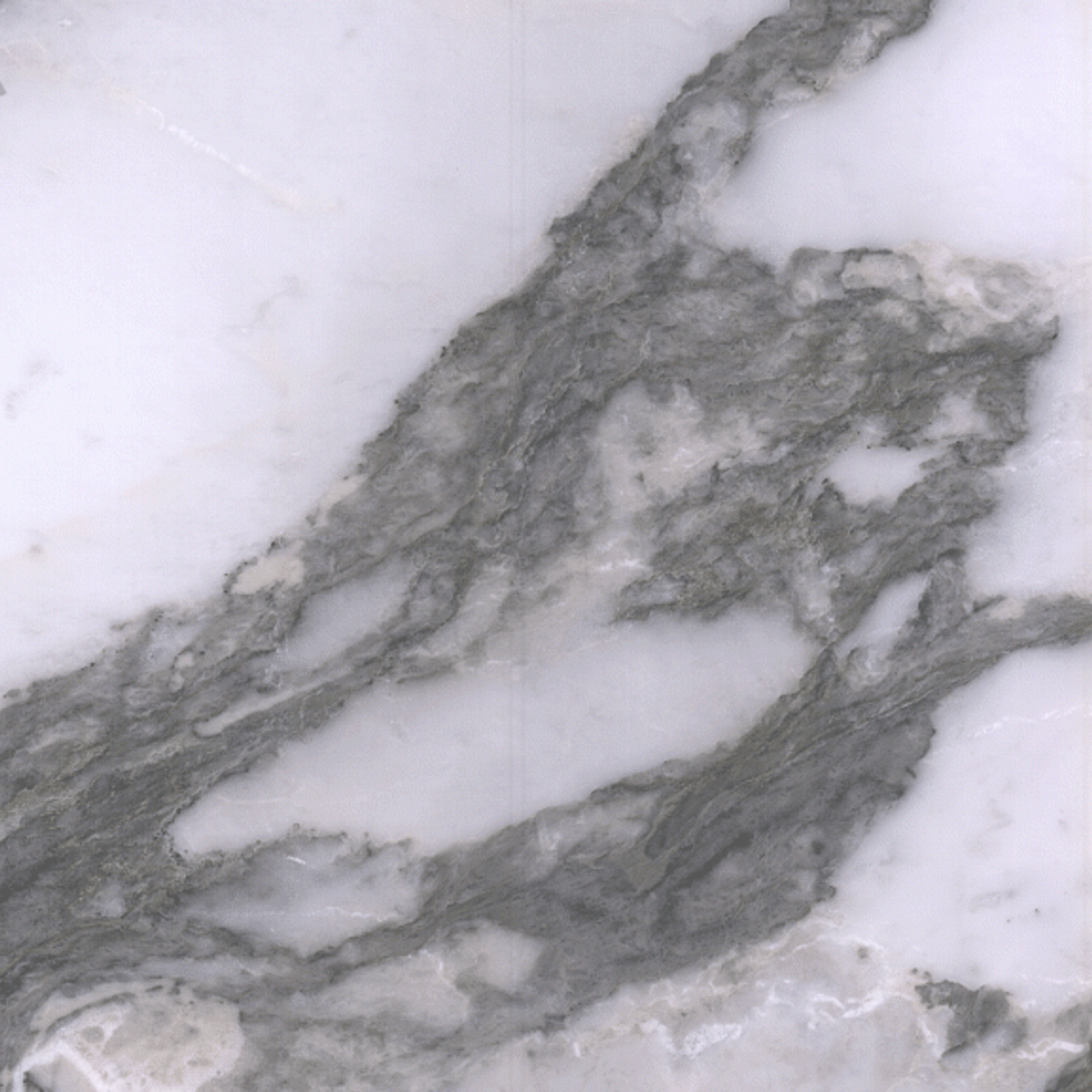 Arabescato Vagli gallery detail image