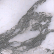 Arabescato Vagli gallery detail image