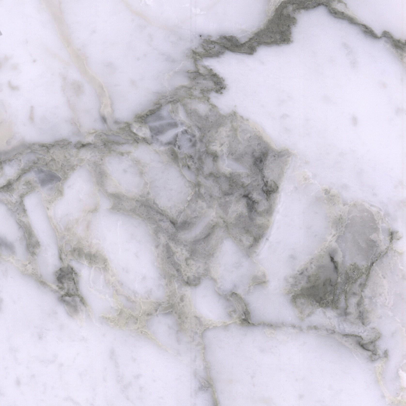 Arabescato Vagli gallery detail image