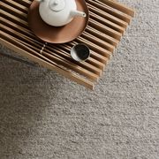 Armadillo Aspen Wool Rug gallery detail image