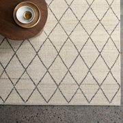 Armadillo Atlas Wool Rug gallery detail image