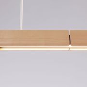 Array Pendant | Maple gallery detail image