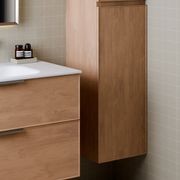Lineare Tall Bathroom Cabinet | Axel Front gallery detail image