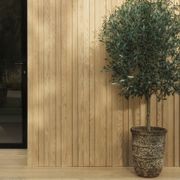 Millboard Envello Board & Batten+ Cladding | Ashwood gallery detail image