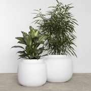 Bilbao Jar gallery detail image