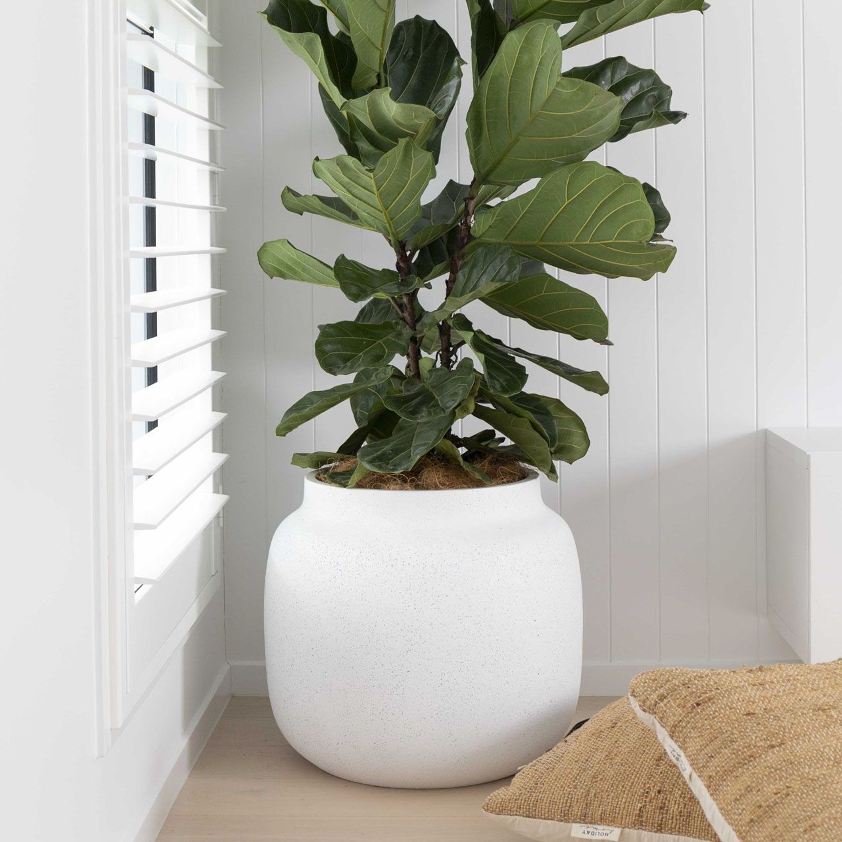 Bilbao Jar gallery detail image