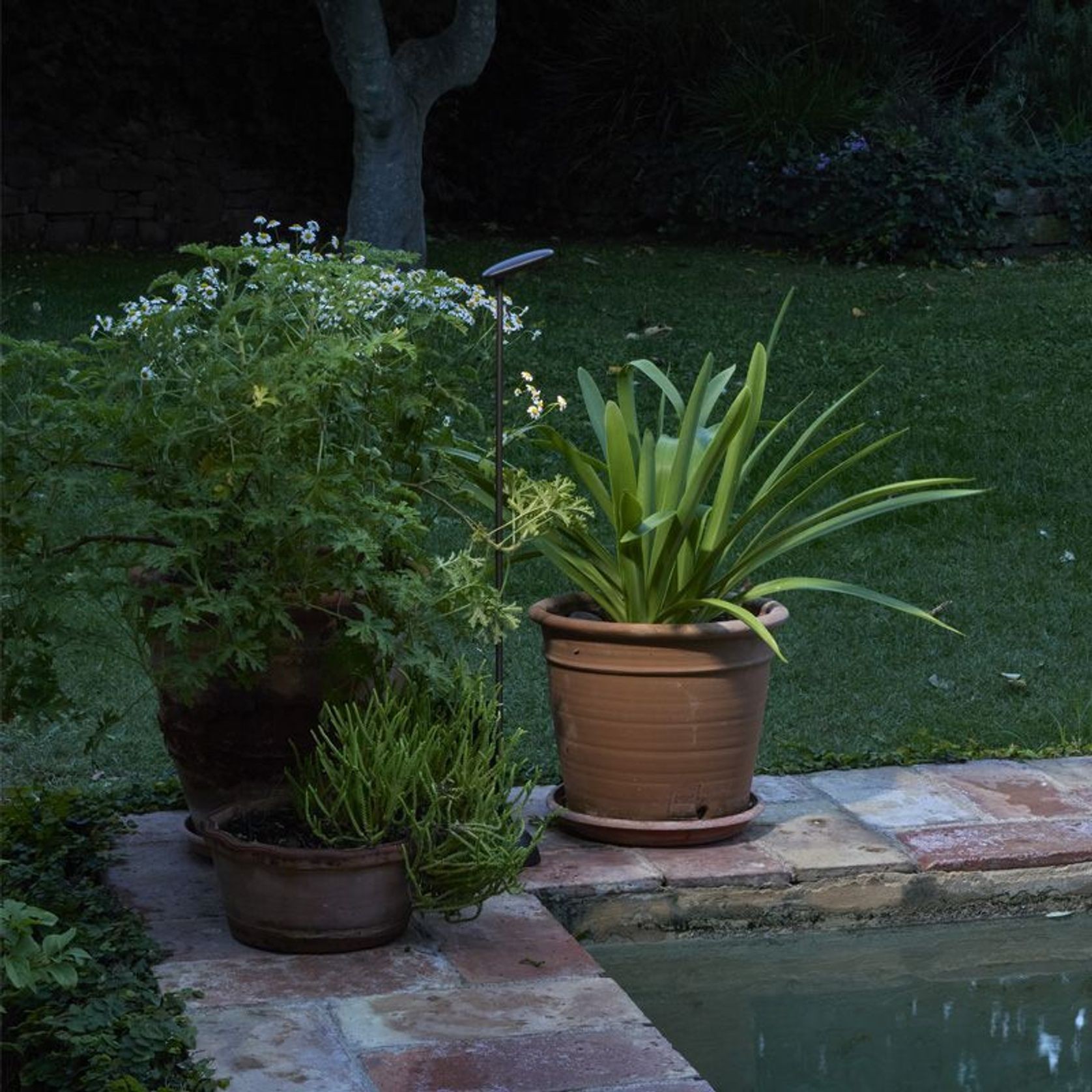 Birdie Single Set Garden Light gallery detail image