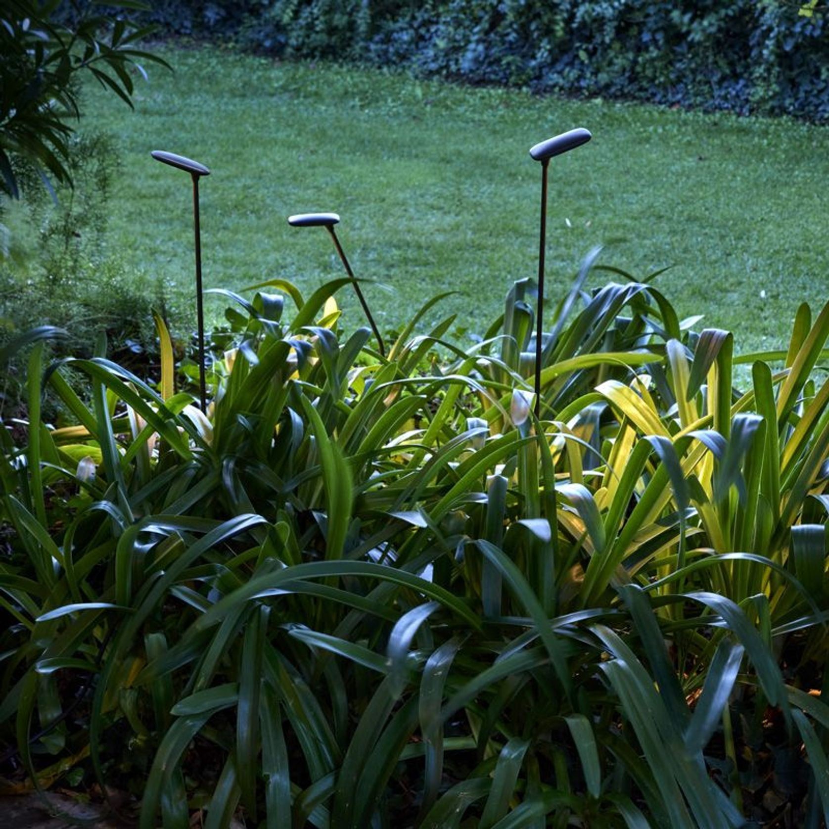 Birdie Single Set Garden Light gallery detail image