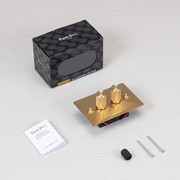 2 Gang Dimmer gallery detail image