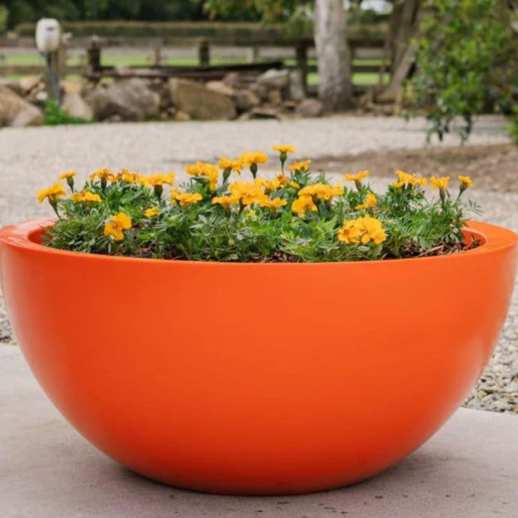 Barcelona 1000 Bowl Planter gallery detail image