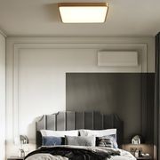 Plano Ceiling Light gallery detail image