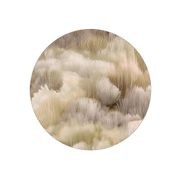 Beetle Dunes Round Floor Rug by Moooi Carpets gallery detail image