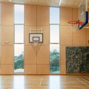 Birch Elite Panels - Plytech Panels gallery detail image