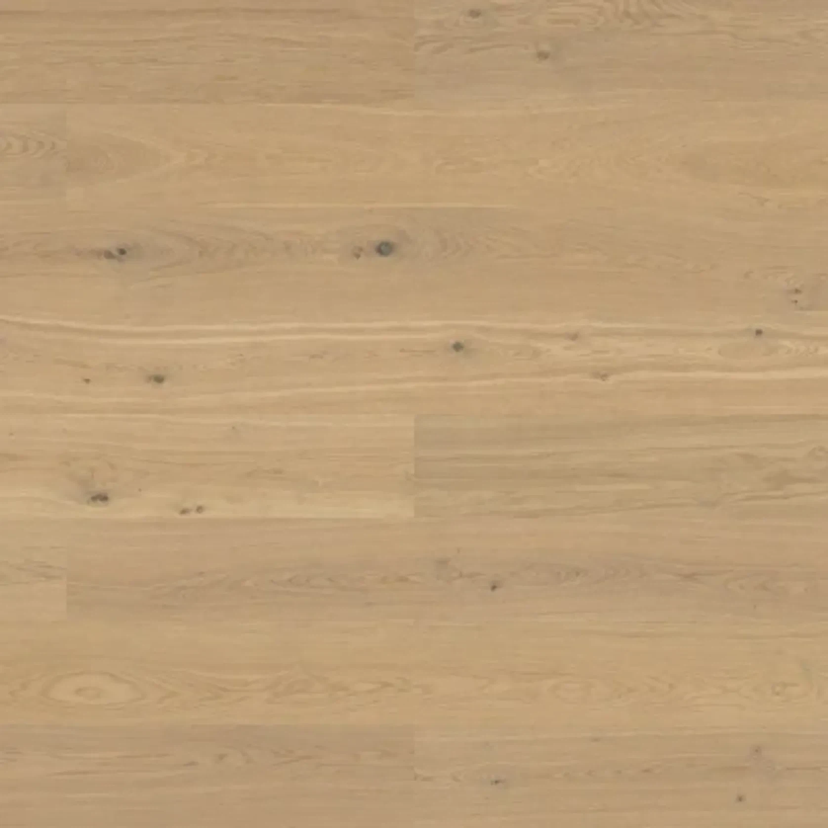 Bjelin L 180 Misty White | Nature Grade gallery detail image