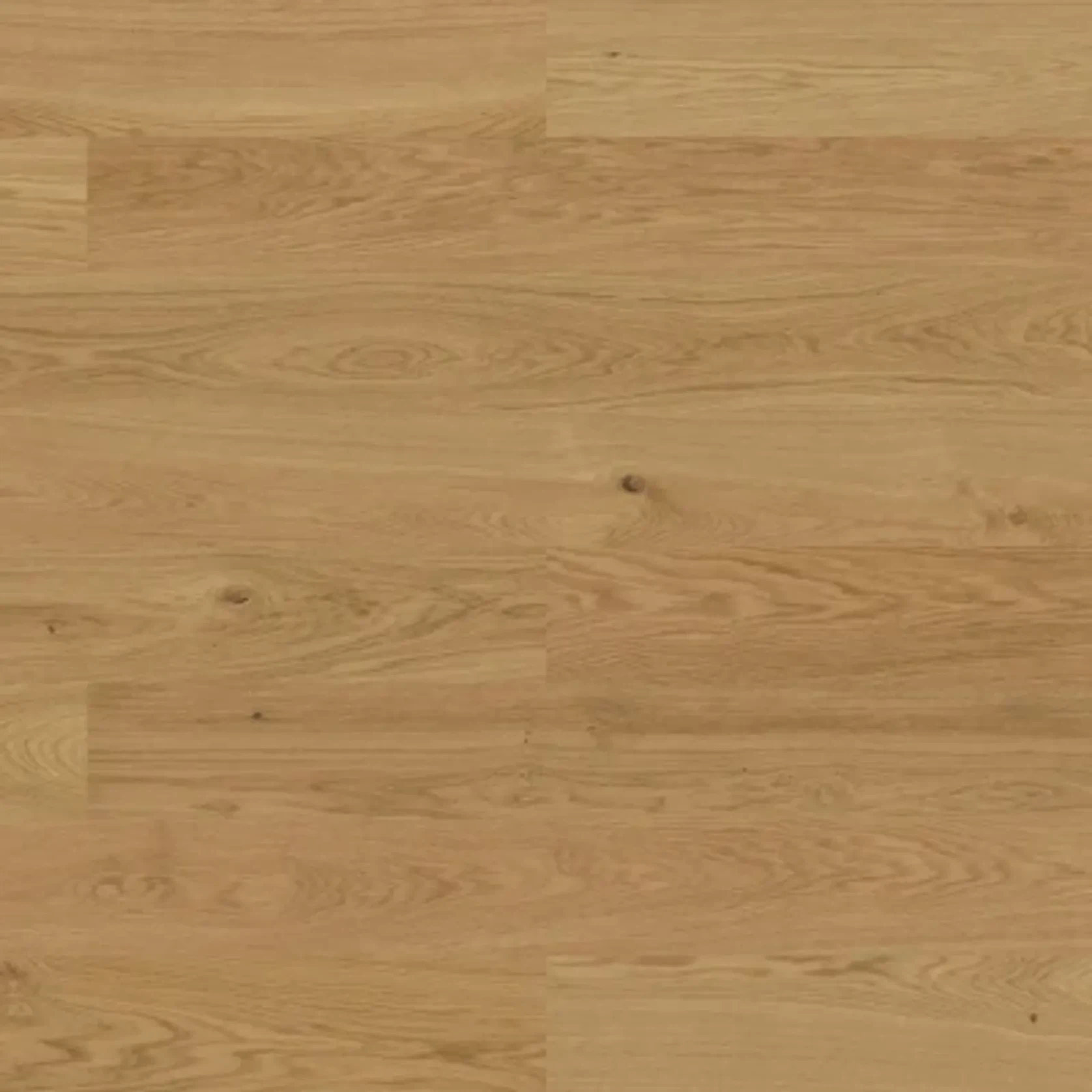 Bjelin L 180 Natural | Nature Grade gallery detail image