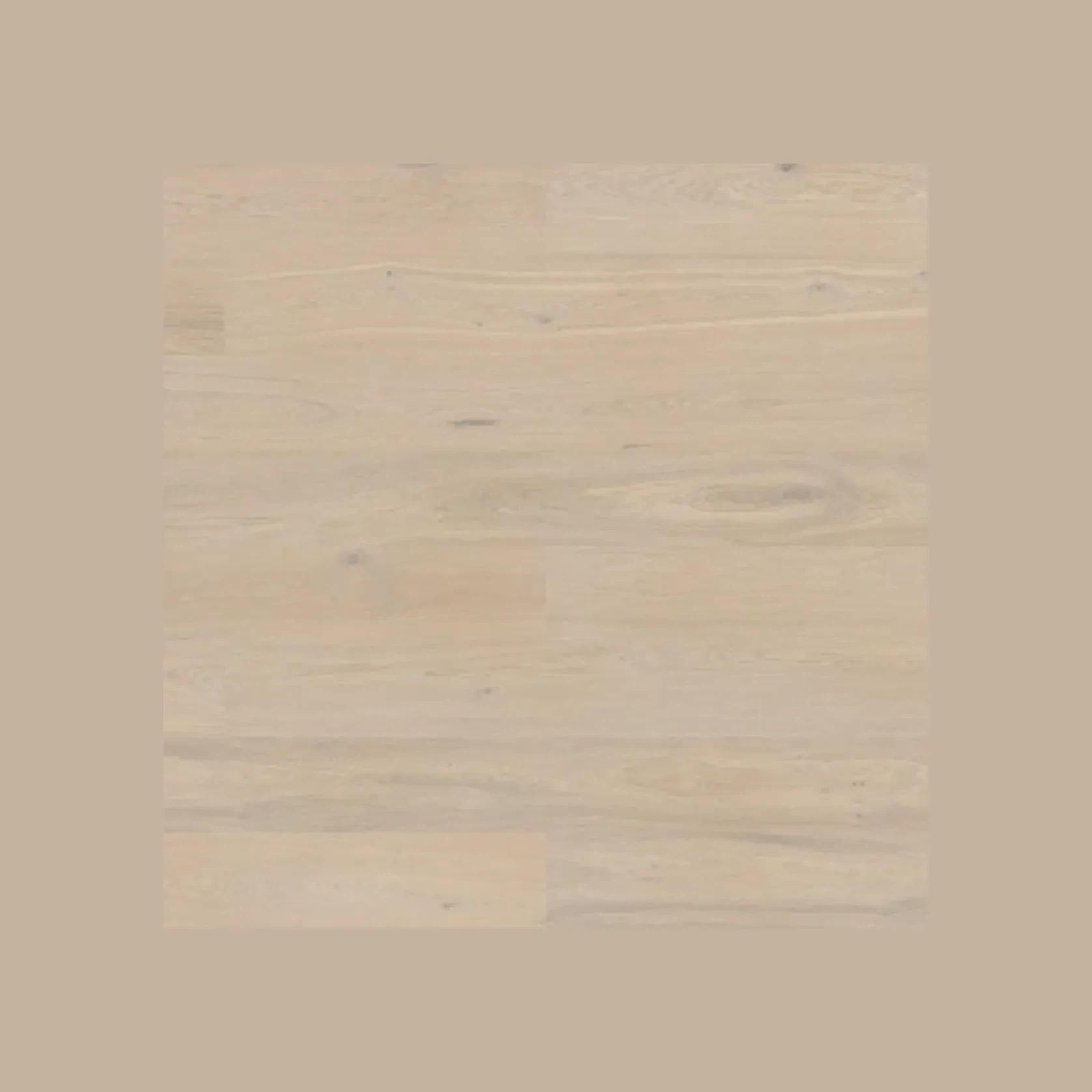 Bjelin L 180 Powder White | Nature Grade gallery detail image