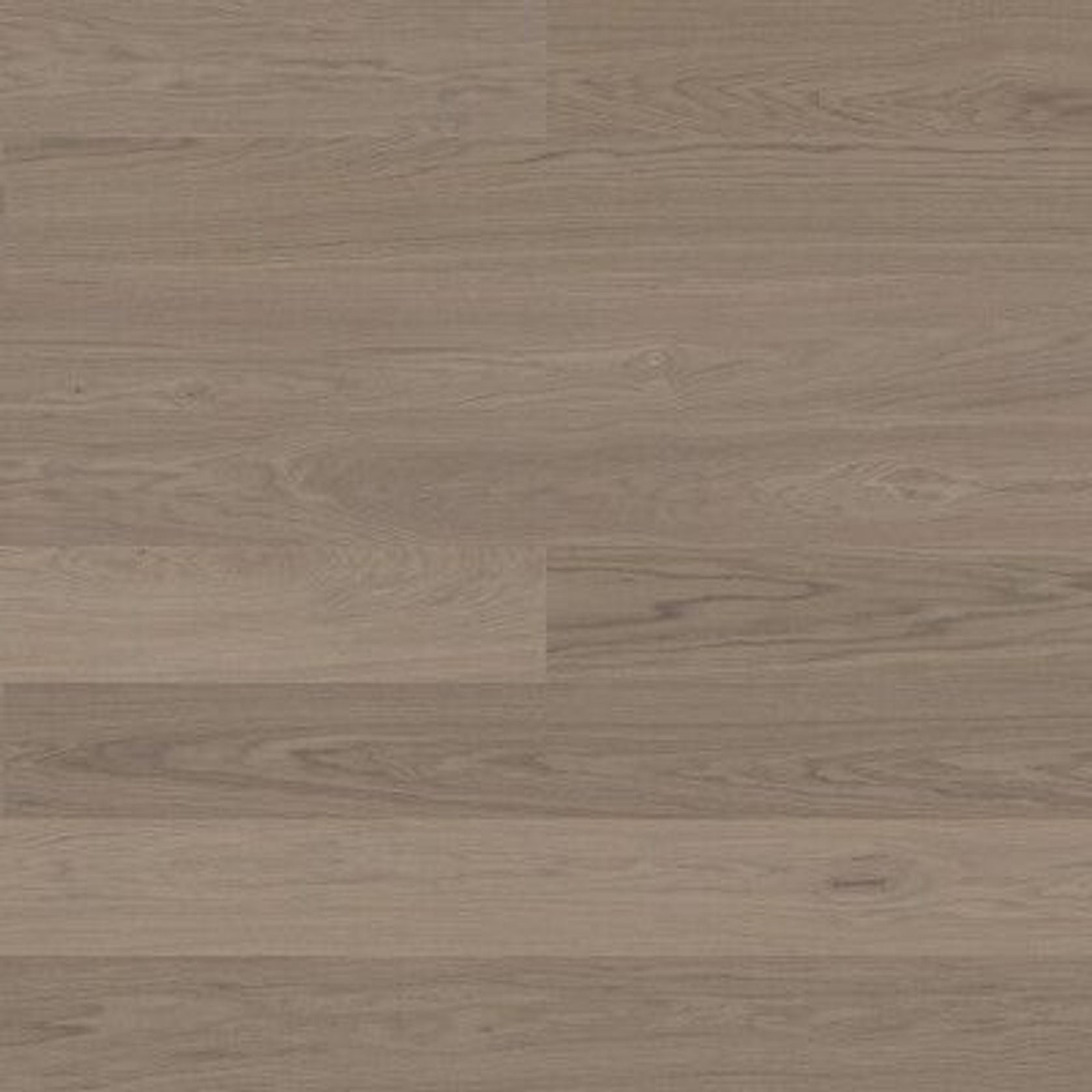 Bjelin M 151 Earth Grey Oak | Blend Grade gallery detail image