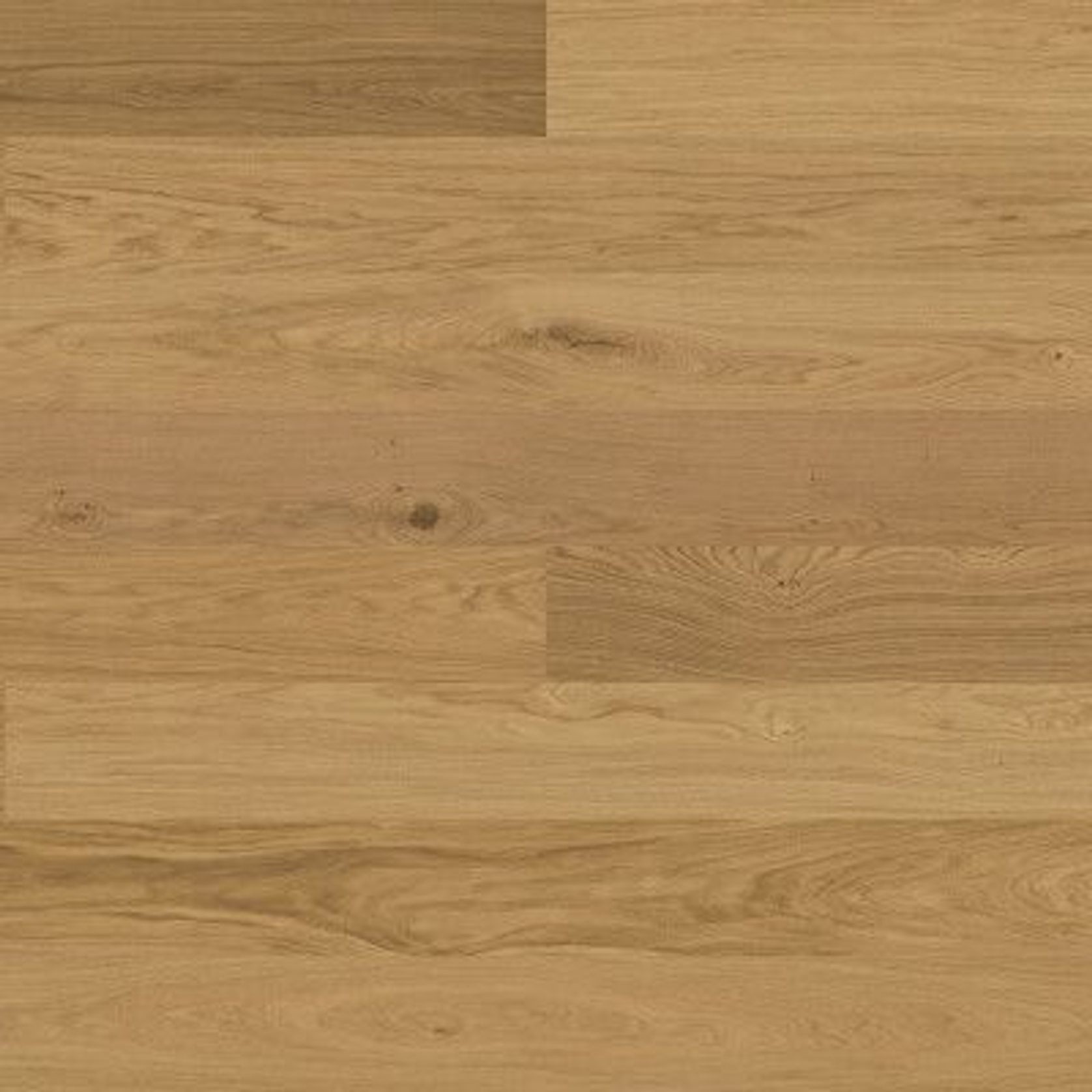 Bjelin M 151 Natural Oak | Blend gallery detail image