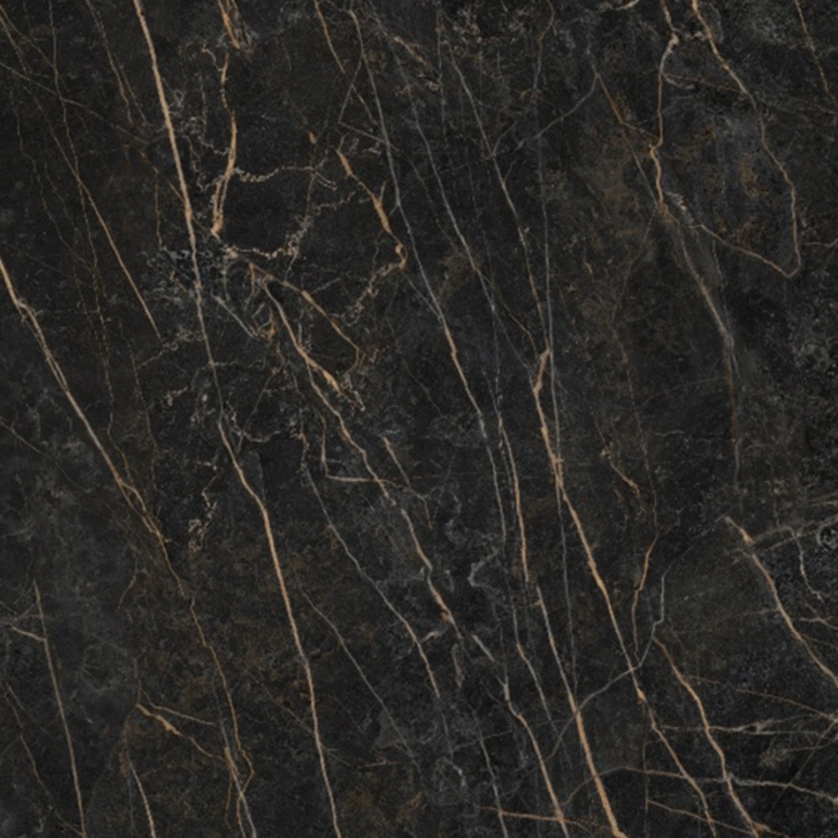 Black Obsession gallery detail image