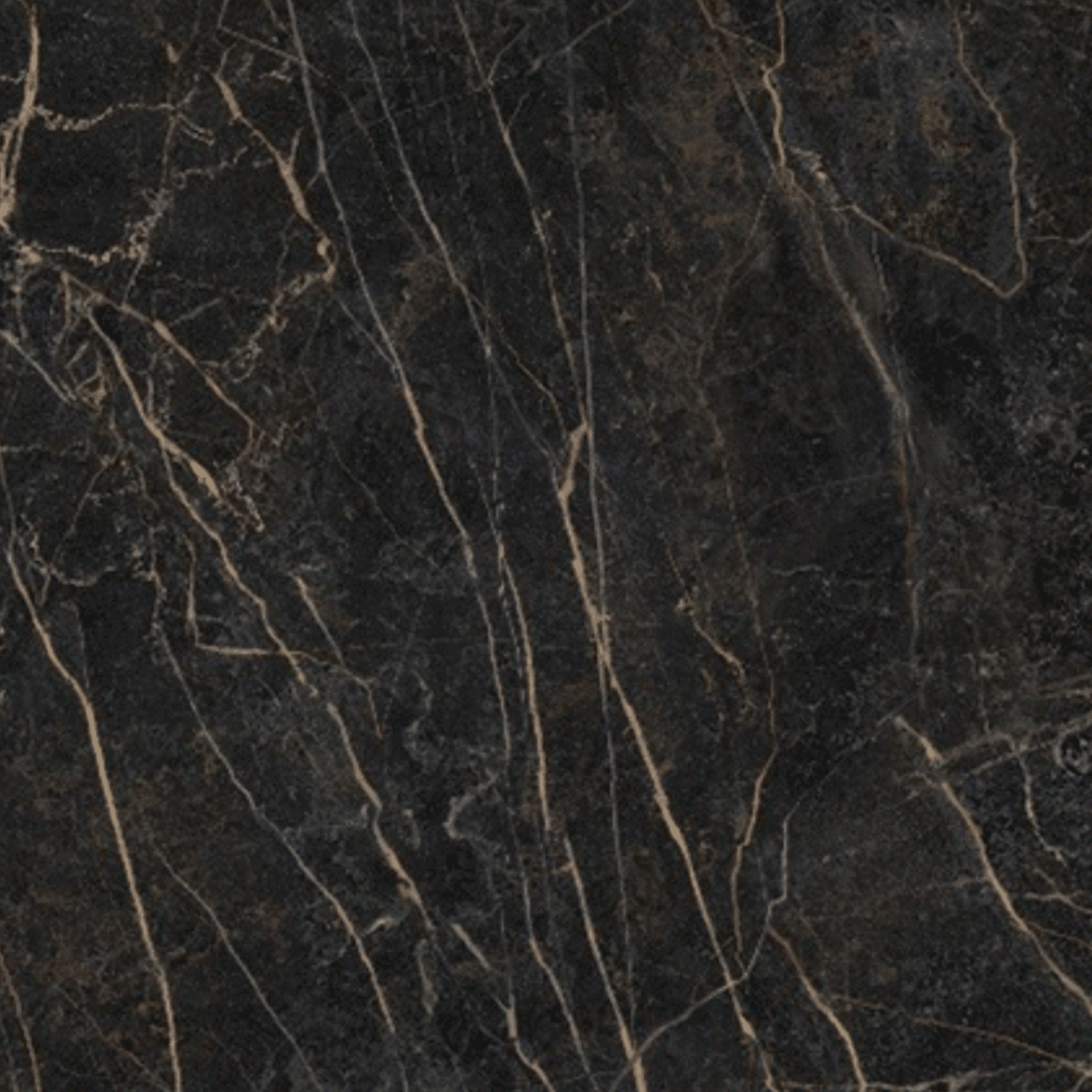 Black Obsession gallery detail image