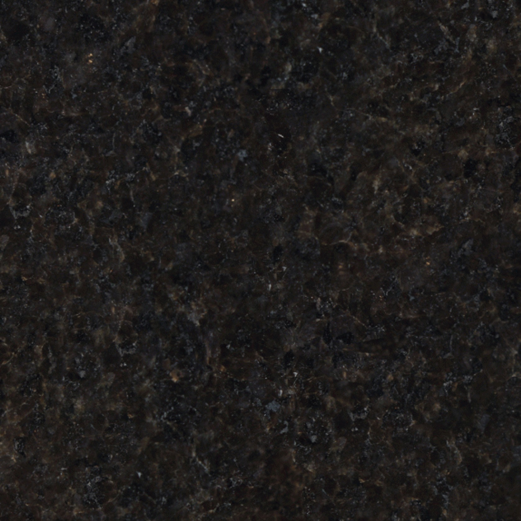 Black Pearl gallery detail image