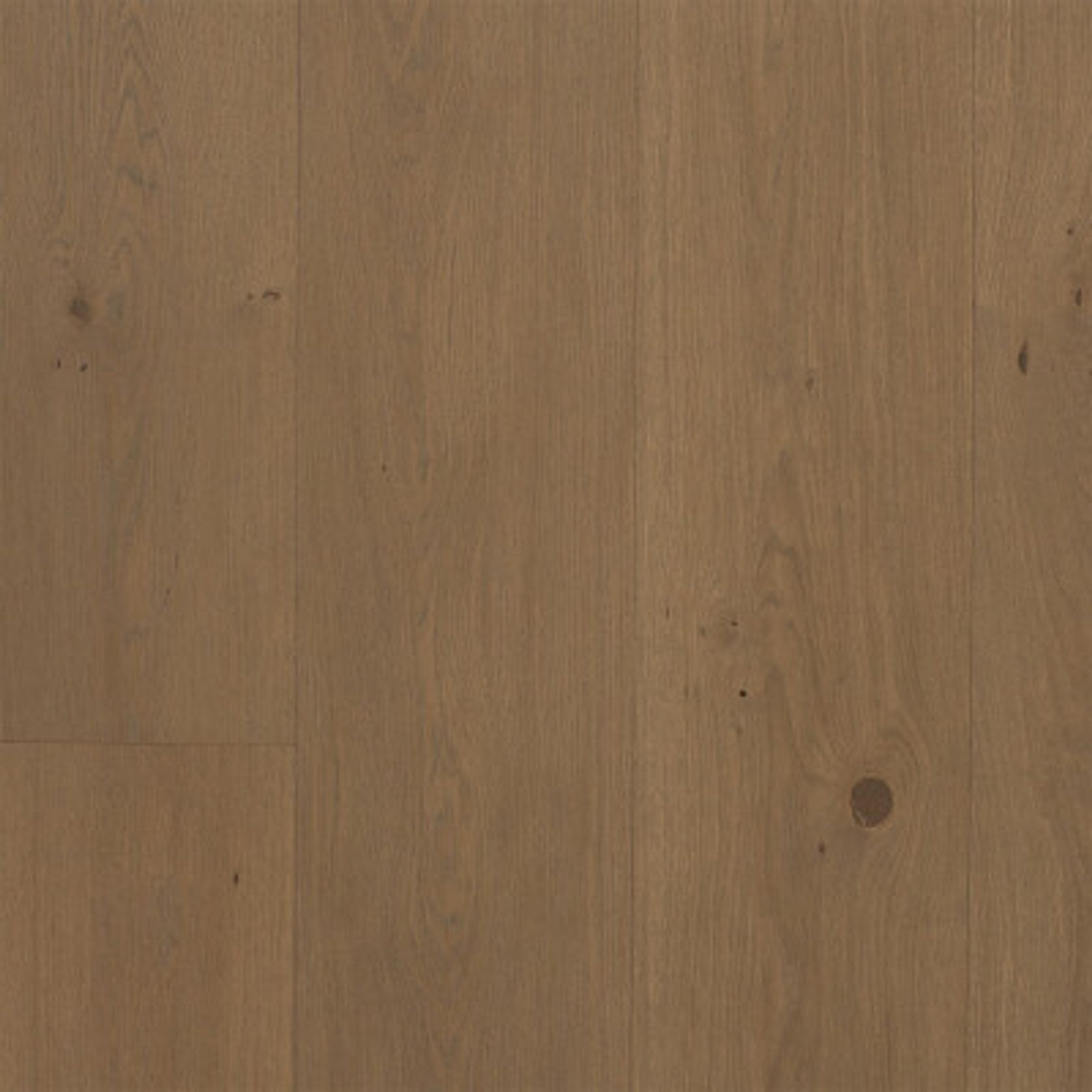 Boen 181 Live Natural Sand | Animoso Grade gallery detail image