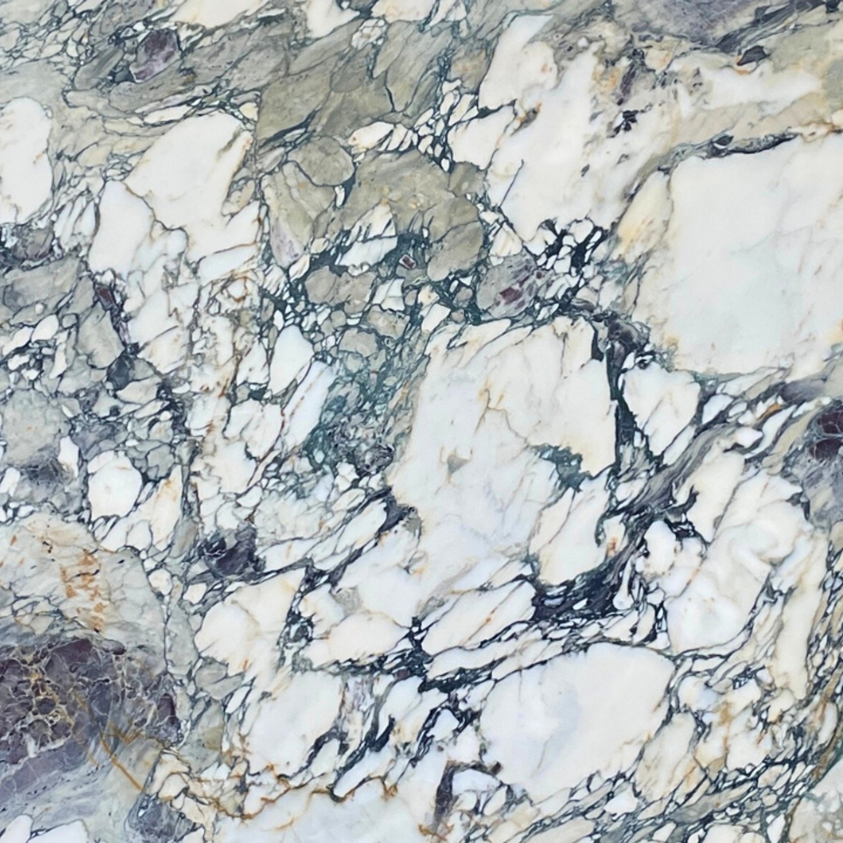 Breccia Capraia Viola | Marble | Honed gallery detail image