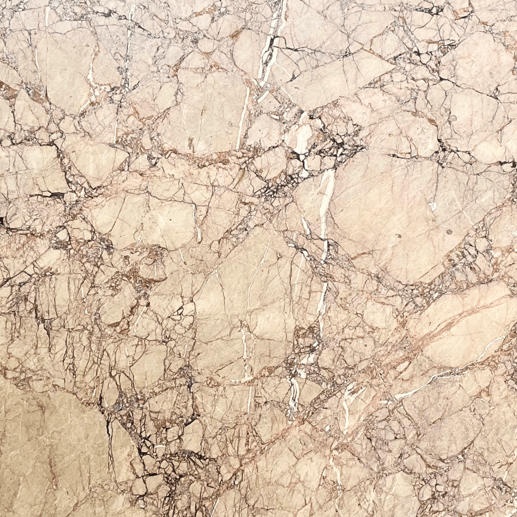 Breccia Pernice | Marble | Honed gallery detail image