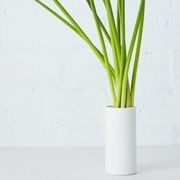 Bud Vase gallery detail image