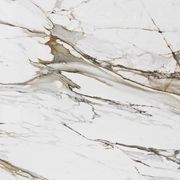 Level Marmi Macchia Vecchia | Porcelain Panels gallery detail image
