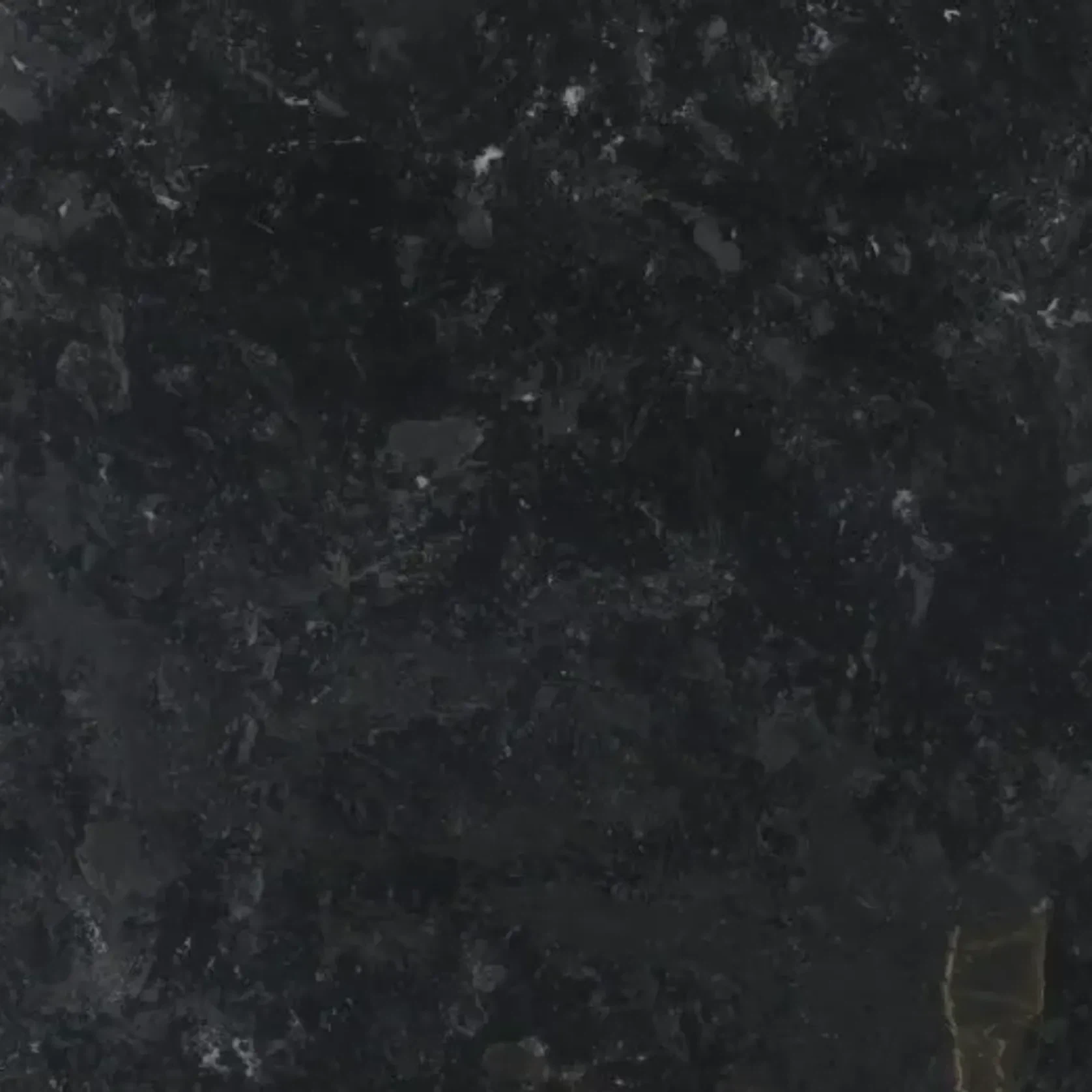 Calacatta Black Quartzite Benchtop gallery detail image