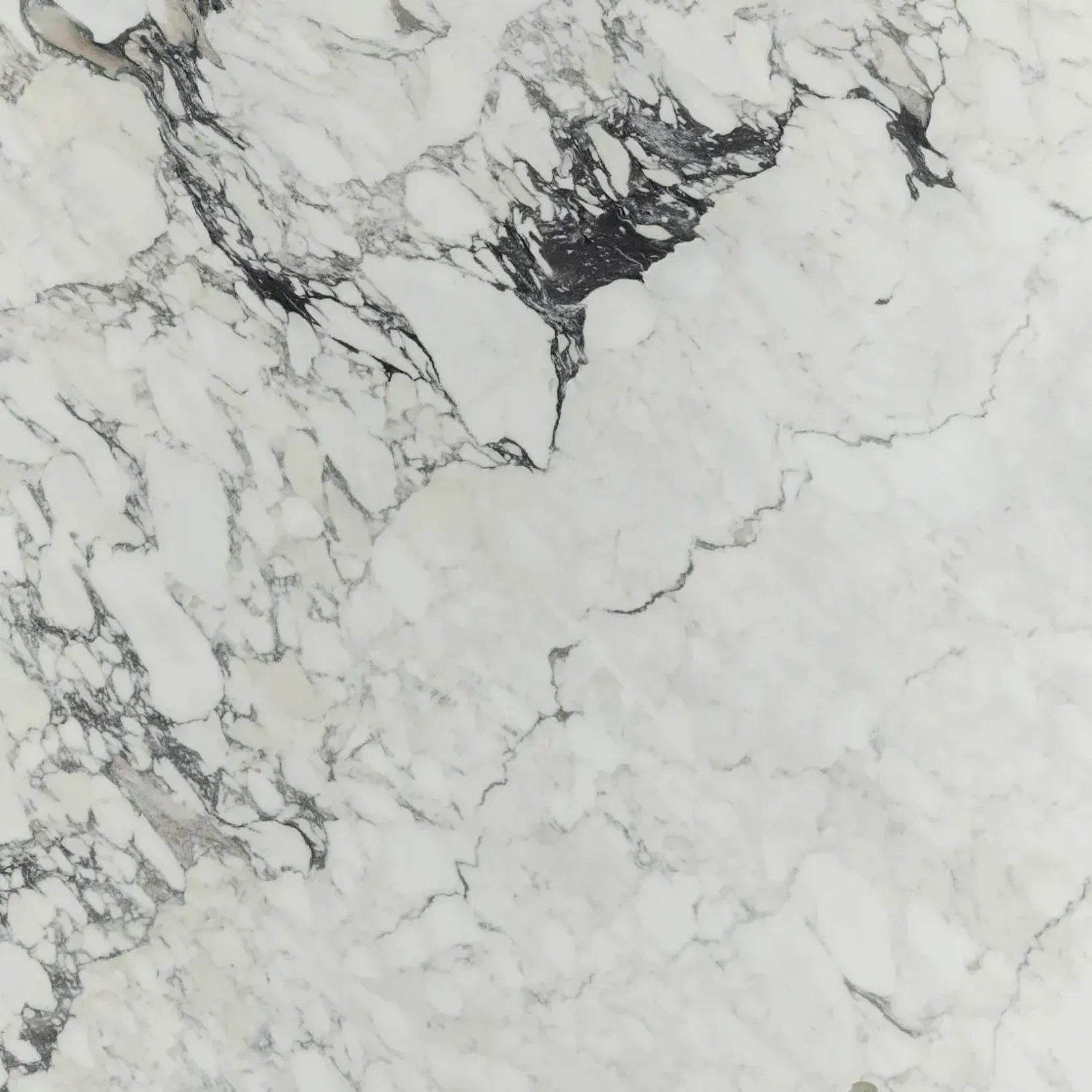 Calacatta Monet Marble Benchtop gallery detail image