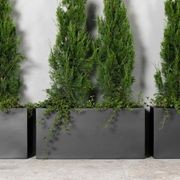 Canterbury Trough gallery detail image