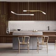 Cantabrina Single Pendant gallery detail image