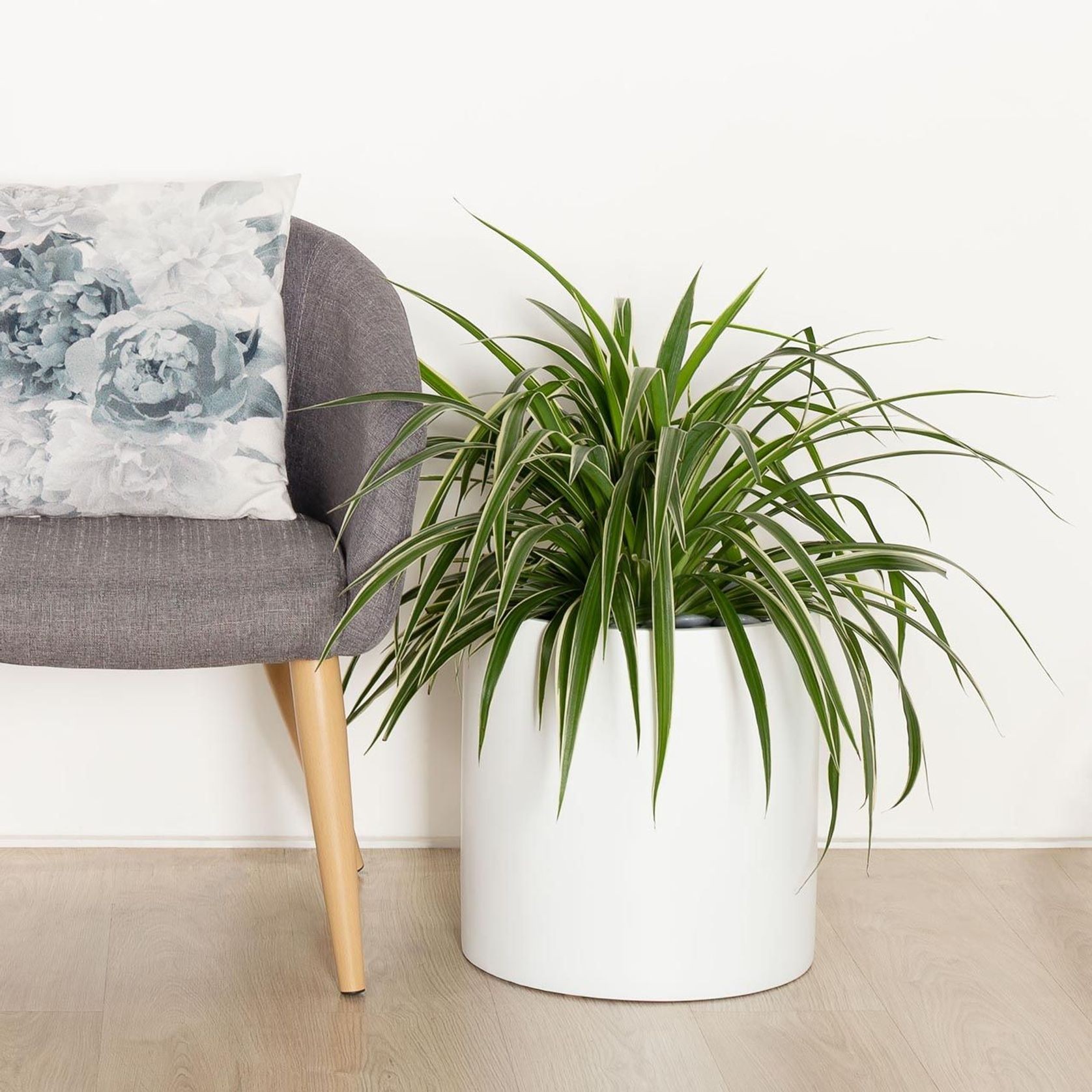 Carindale Cylinder gallery detail image