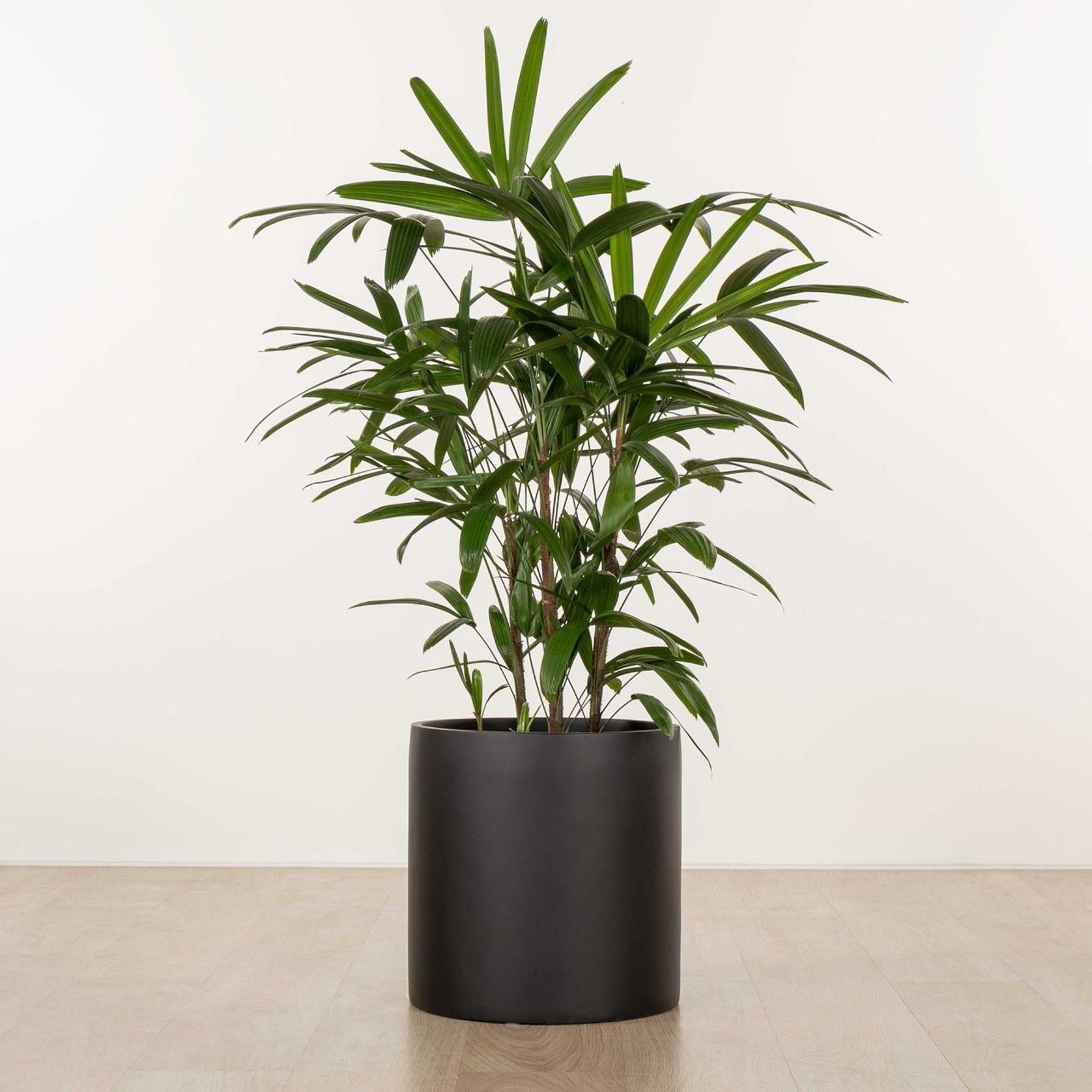 Carindale Cylinder gallery detail image