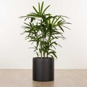 Carindale Cylinder gallery detail image