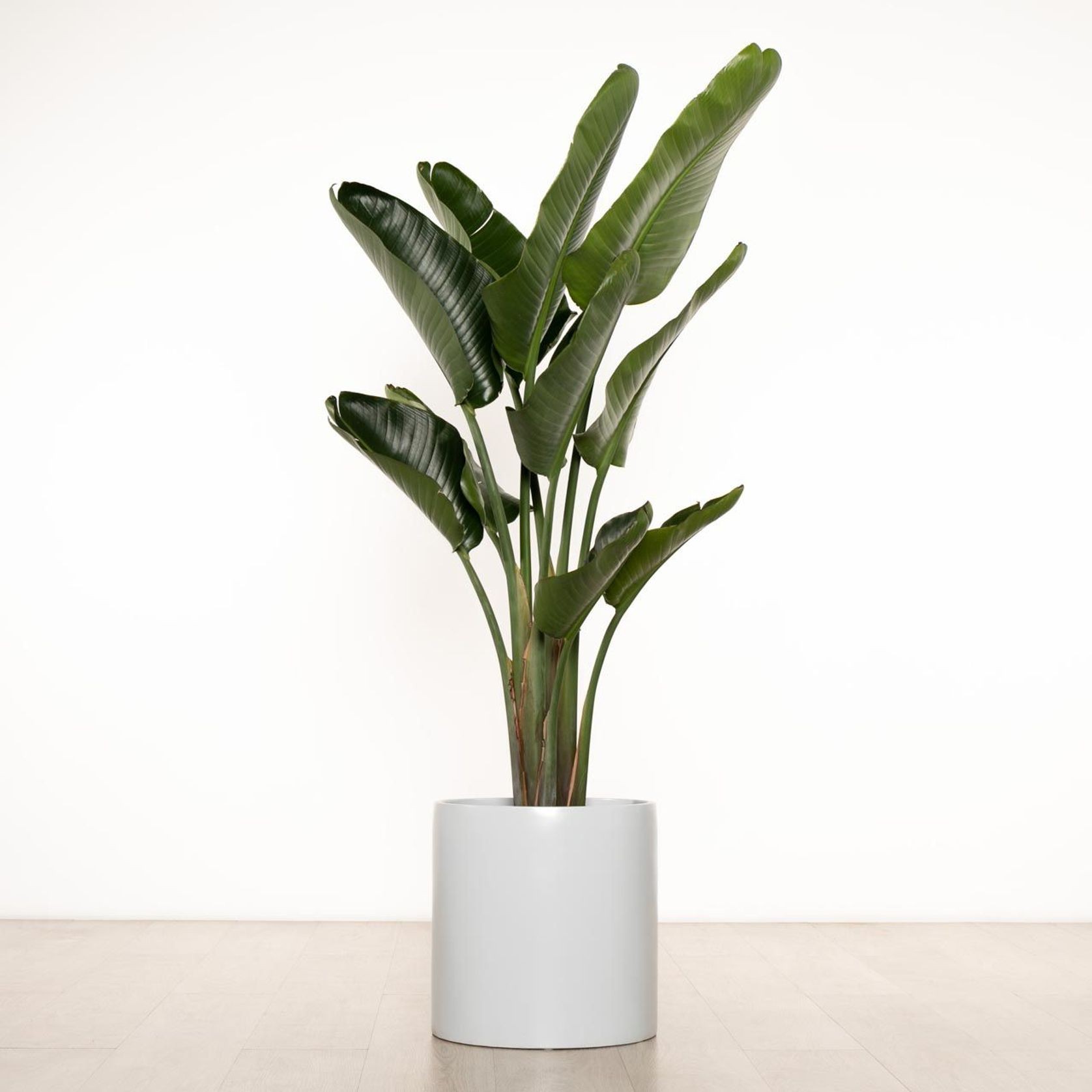 Carindale Cylinder gallery detail image