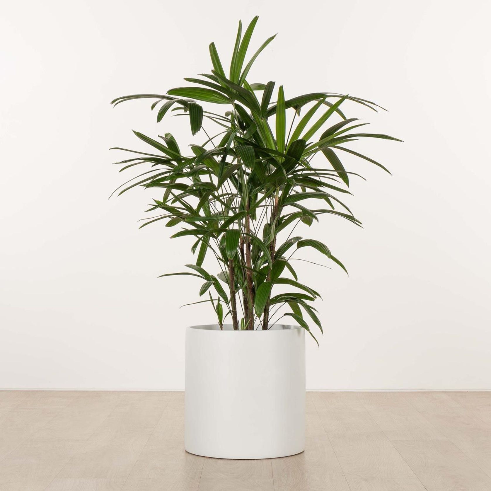 Carindale Cylinder gallery detail image