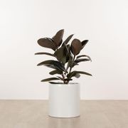 Carindale Cylinder gallery detail image