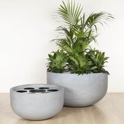 Chelmer Bowl gallery detail image