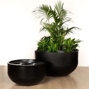 Chelmer Bowl gallery detail image