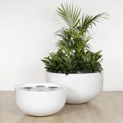 Chelmer Bowl gallery detail image