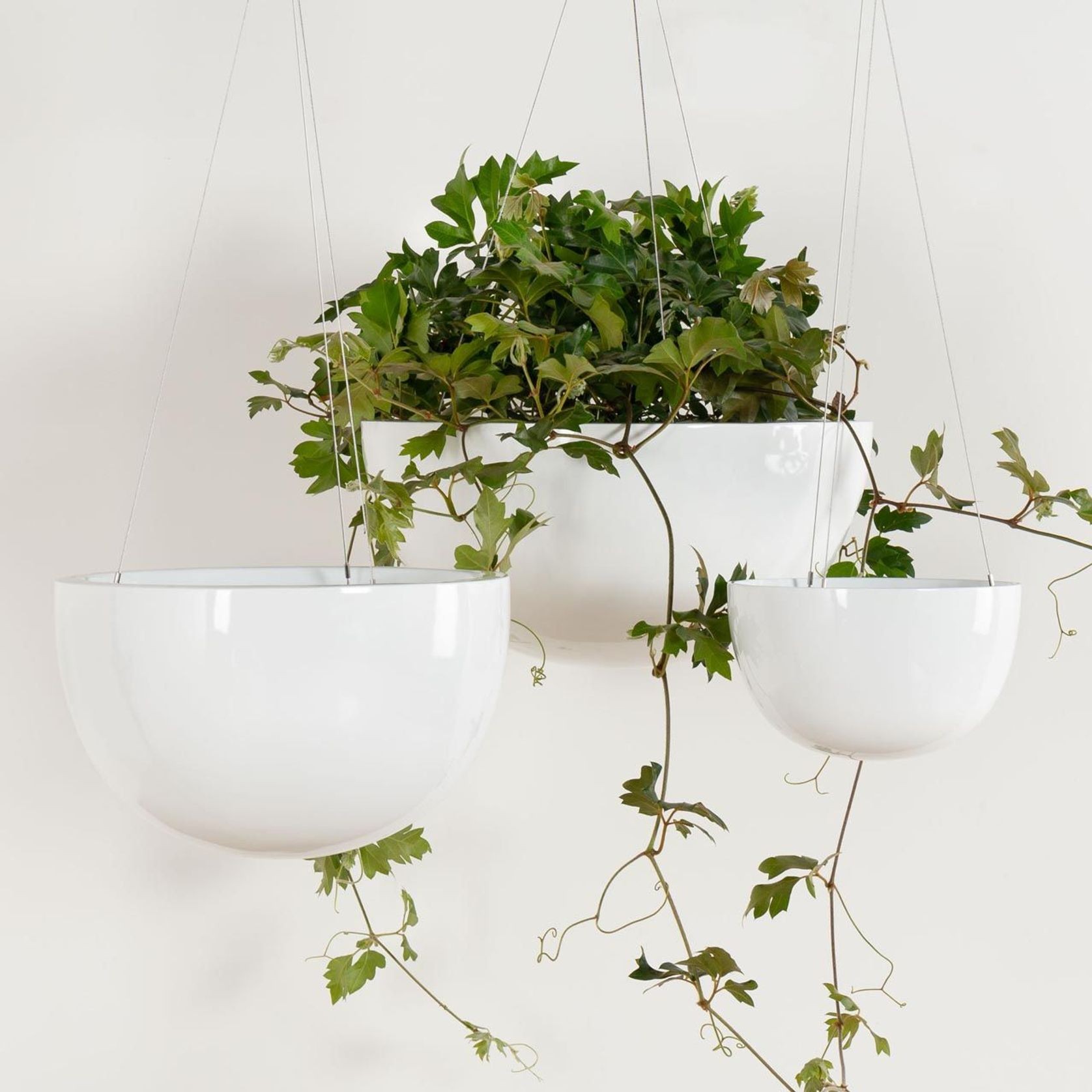 Corinda Hanger Wired gallery detail image