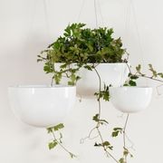 Corinda Hanger Wired gallery detail image